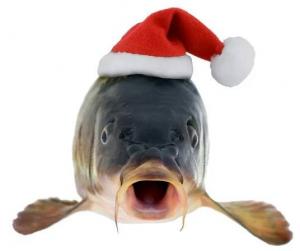 Tradiční Silvestr na Friedrichu 2